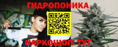 стаф Заволжье