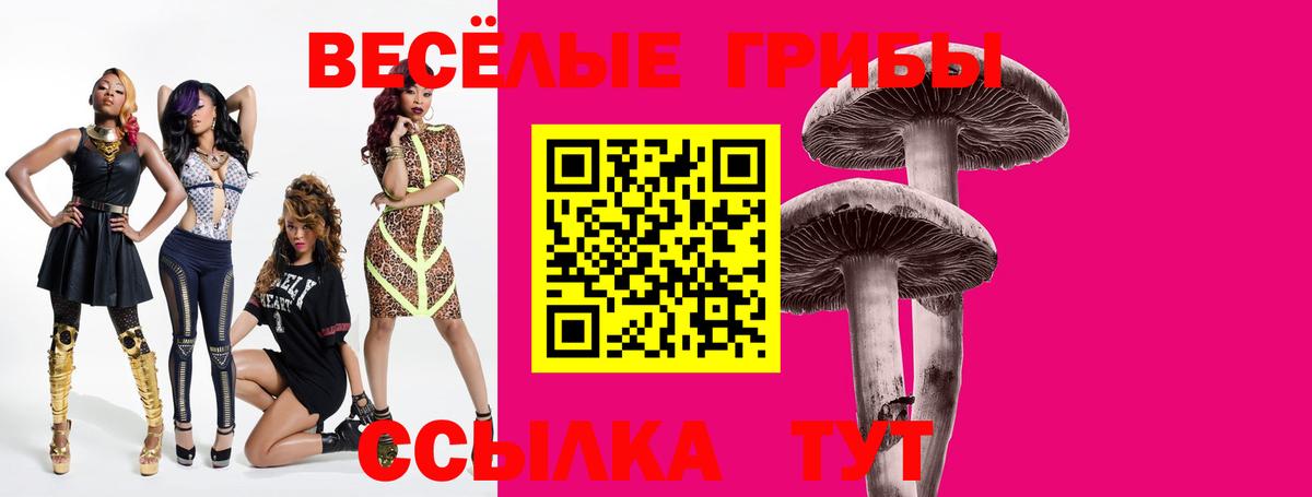 Псилоцибиновые грибы Psilocybine cubensis Можга